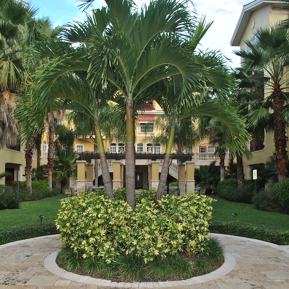 Casa Bella on Westshore: Tampa Apartment Rentals - Short Term ...